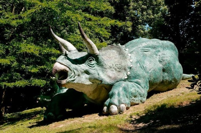  Capa de Triceratops